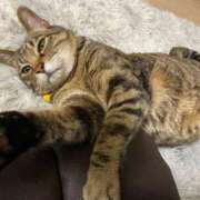 ヒメ日記 2025/04/21 17:34 投稿 ねねさん いけない奥さん 梅田店