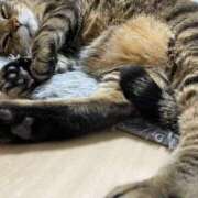 ヒメ日記 2025/05/09 15:51 投稿 ねねさん いけない奥さん 梅田店