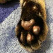 ヒメ日記 2025/05/10 14:38 投稿 ねねさん いけない奥さん 梅田店