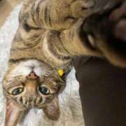 ヒメ日記 2025/06/14 09:23 投稿 ねねさん いけない奥さん 梅田店