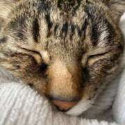 ヒメ日記 2025/07/05 18:42 投稿 ねねさん いけない奥さん 梅田店