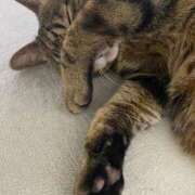 ヒメ日記 2025/07/21 16:52 投稿 ねねさん いけない奥さん 梅田店