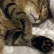 ヒメ日記 2025/08/31 20:13 投稿 ねねさん いけない奥さん 梅田店