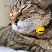 ヒメ日記 2025/09/10 15:38 投稿 ねねさん いけない奥さん 梅田店