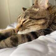 ヒメ日記 2025/09/22 18:08 投稿 ねねさん いけない奥さん 梅田店