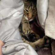 ヒメ日記 2025/09/30 12:21 投稿 ねねさん いけない奥さん 梅田店