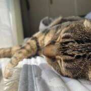 ヒメ日記 2025/10/07 13:28 投稿 ねねさん いけない奥さん 梅田店