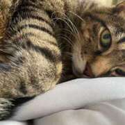 ヒメ日記 2025/11/14 19:25 投稿 ねねさん いけない奥さん 梅田店