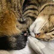 ヒメ日記 2025/12/05 22:48 投稿 ねねさん いけない奥さん 梅田店