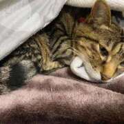 ヒメ日記 2026/02/09 13:38 投稿 ねねさん いけない奥さん 梅田店