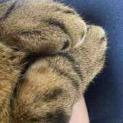 ヒメ日記 2026/03/13 12:58 投稿 ねねさん いけない奥さん 梅田店