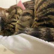 ヒメ日記 2026/03/21 10:28 投稿 ねねさん いけない奥さん 梅田店