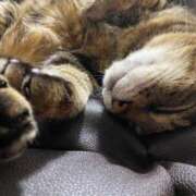 ヒメ日記 2026/03/25 16:05 投稿 ねねさん いけない奥さん 梅田店