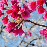 ヒメ日記 2025/03/30 23:45 投稿 広瀬あゆみ 甲府回春アロマージュ