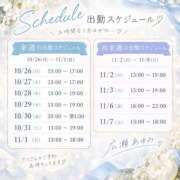 ヒメ日記 2026/10/23 08:35 投稿 広瀬あゆみ 甲府回春アロマージュ