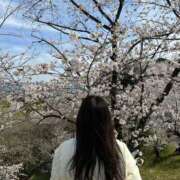 ヒメ日記 2025/04/04 18:25 投稿 コムギ ソープランドMAX‐マックス- 浅草店