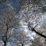 ヒメ日記 2025/04/14 19:14 投稿 さとみ 美熟女倶楽部Hip's 春日部店