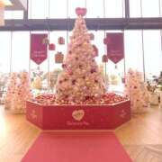 ヒメ日記 2025/11/09 23:12 投稿 さとみ 美熟女倶楽部Hip's 春日部店