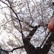 ヒメ日記 2026/04/04 19:14 投稿 さとみ 美熟女倶楽部Hip's 春日部店