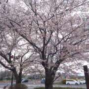 ヒメ日記 2026/04/06 19:52 投稿 さとみ 美熟女倶楽部Hip's 春日部店