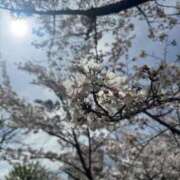 ヒメ日記 2026/04/10 10:34 投稿 さくら CLUB DEEP