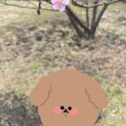 ヒメ日記 2025/02/03 11:38 投稿 アン 上野ハイブリッドマッサージ