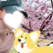 ヒメ日記 2025/03/14 13:18 投稿 アン 上野ハイブリッドマッサージ