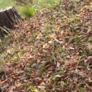 ヒメ日記 2025/03/28 15:28 投稿 アン 上野ハイブリッドマッサージ