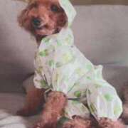 ヒメ日記 2025/08/07 12:09 投稿 アン 上野ハイブリッドマッサージ