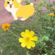 ヒメ日記 2025/10/19 07:08 投稿 アン 上野ハイブリッドマッサージ