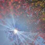 ヒメ日記 2025/11/14 10:58 投稿 アン 上野ハイブリッドマッサージ