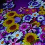 ヒメ日記 2025/08/17 07:32 投稿 倖田れいこ 五十路マダム 岐阜店