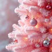 ヒメ日記 2024/12/17 12:29 投稿 すず ニューヨークニューヨーク