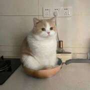 ヒメ日記 2024/12/30 12:20 投稿 すず ニューヨークニューヨーク