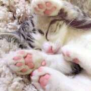 ヒメ日記 2025/01/30 15:55 投稿 すず ニューヨークニューヨーク