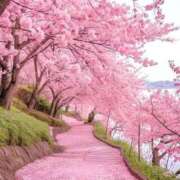 ヒメ日記 2025/04/01 13:39 投稿 すず ニューヨークニューヨーク