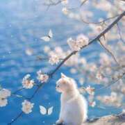 ヒメ日記 2025/04/04 12:15 投稿 すず ニューヨークニューヨーク