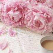 ヒメ日記 2025/05/04 12:44 投稿 すず ニューヨークニューヨーク