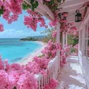 ヒメ日記 2025/05/10 14:11 投稿 すず ニューヨークニューヨーク