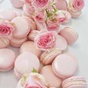 ヒメ日記 2025/06/08 16:47 投稿 すず ニューヨークニューヨーク