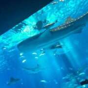 ヒメ日記 2025/07/06 23:08 投稿 柳 なぎ 聖リッチ女学園