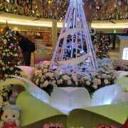 ヒメ日記 2024/12/16 09:40 投稿 みやこ 奥様の実話 梅田店