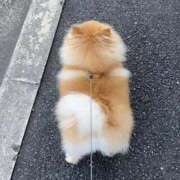 ヒメ日記 2024/12/28 10:25 投稿 みやこ 奥様の実話 梅田店