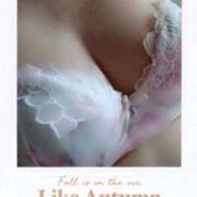 ヒメ日記 2024/12/29 12:59 投稿 みやこ 奥様の実話 梅田店