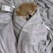 ヒメ日記 2025/01/29 11:11 投稿 みやこ 奥様の実話 梅田店