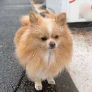 ヒメ日記 2025/02/05 09:07 投稿 みやこ 奥様の実話 梅田店