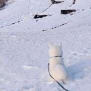 ヒメ日記 2025/02/08 11:50 投稿 みやこ 奥様の実話 梅田店