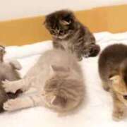 ヒメ日記 2025/03/15 10:10 投稿 みやこ 奥様の実話 梅田店