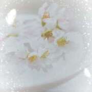 ヒメ日記 2025/03/25 10:51 投稿 みやこ 奥様の実話 梅田店