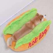 ヒメ日記 2025/05/01 10:01 投稿 みやこ 奥様の実話 梅田店